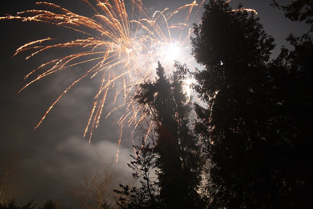 Verzicht auf Silvesterböllern